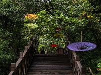 图集 | 隐匿于世的可邑小镇 体验不一样的安静惬意