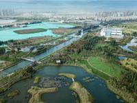 图集 | 逛宝丰湿地公园 观生物多样性