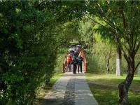 图集 | 逛宝丰湿地公园 观生物多样性