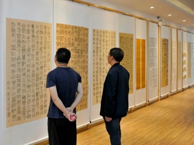 玉溪市第六届“碧玉清溪是我家”书法（临书）作品展开展