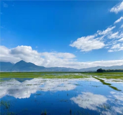 今日霜降 | 寻云南最美深秋