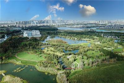 图集 | 逛宝丰湿地公园 观生物多样性