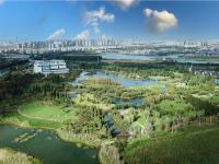 图集 | 逛宝丰湿地公园 观生物多样性