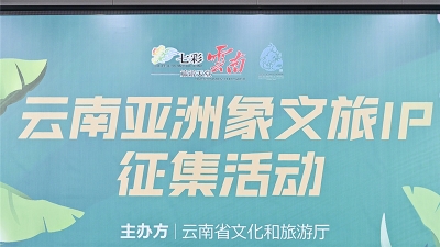 有奖征集丨云南亚洲象文旅IP征集活动正式启动啦