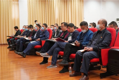 红河州文化和旅游局学习贯彻州第九次党代会精神