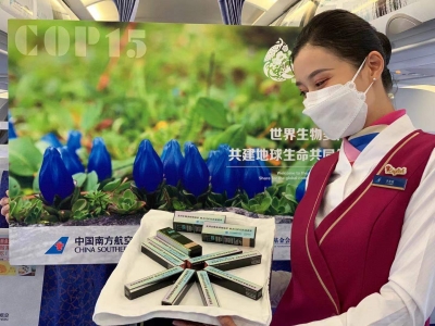 助力COP15! 南航推出“生物多样性保护”系列主题航班