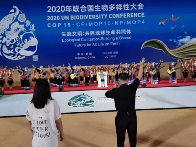 点赞！云南演艺股份有限公司编创节目惊艳亮相COP15