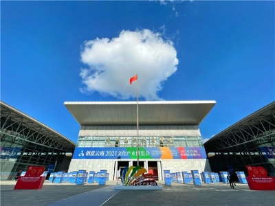 内容丰富！大理近20家企业携各类好物现身文博会