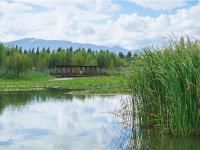 图集 | 逛宝丰湿地公园 观生物多样性