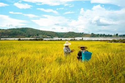 来建水，遇见秋天！