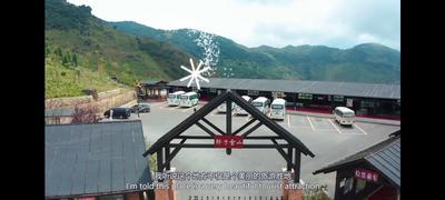 【在昆外国人看昆明】艾利福：欢迎外国友人来昆明轿子雪山领略生物多样性之美