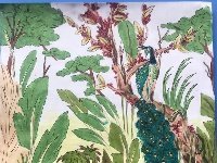 我是自然创想家|生物多样性大型雕塑主题彩绘公益活动优秀作品线上展·小画家系列（三）