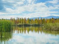 图集 | 逛宝丰湿地公园 观生物多样性