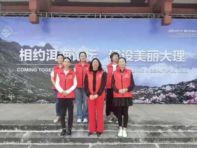 志愿者风采 | 大理州博物馆开展“弘扬文明新风，创建文明城市”志愿服务活动