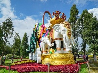 图集 | 逛宝丰湿地公园 观生物多样性