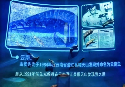 COP15 | 生物多样性起源地的文旅新样貌