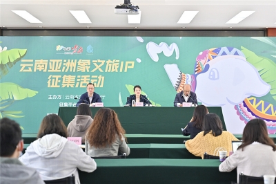 有奖征集丨云南亚洲象文旅IP征集活动正式启动啦