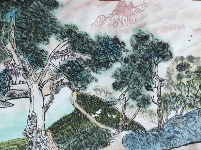 我是自然创想家|生物多样性大型雕塑主题彩绘公益活动优秀作品线上展·色彩家系列（六）