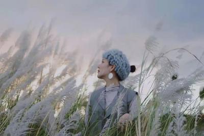 玉溪元江芦苇花开 冬景如画