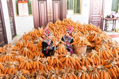 楚雄州永仁县 | 以党史学习教育涵养民族团结之花常开长盛