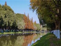 图集 | 采莲河 城市里的美景