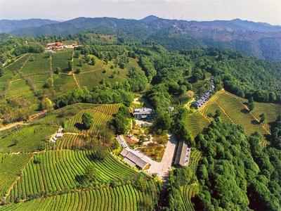 跟着中老铁路游玉溪丨一路美景一路歌