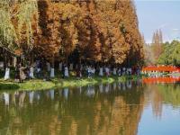 图集 | 采莲河 城市里的美景