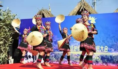 西双版纳3馆入选  第五次全国文化馆评估定级上等级馆名单公布 