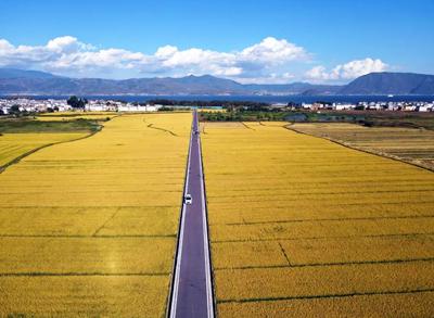 你的家乡上榜了！云南12地入列2021中国旅游百强县市