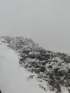 昆明轿子山景区迎来冰雪旺季