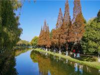 图集 | 采莲河 城市里的美景