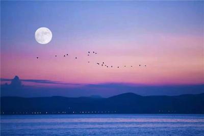 丁真来云南了！来与阳光男孩一起游云南吧！