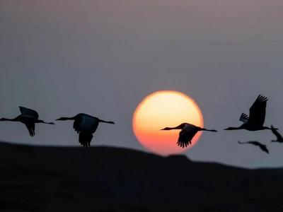 醉美果乡，在宁静时光中邂逅云南“秋城”