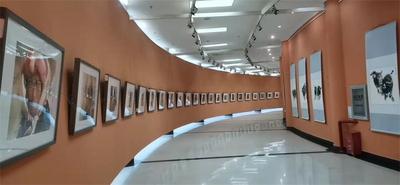家门口“看牛”！胡晓幸水彩·水墨作品展在普洱市美术馆开展