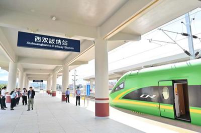 “象”往的地方 | 随中老铁路打卡西双版纳5个高颜值站点