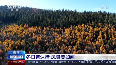 央视带您走进香格里拉：冬日普达措 风景美如画