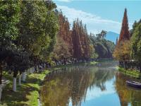 图集 | 采莲河 城市里的美景