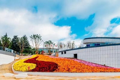 博·艺丨“世说新艺”——当艺术家遇上世博园（五）