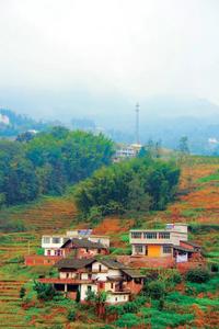 文化 | 昭通高杆狮子舞