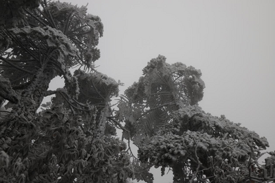终于等到你！轿子山迎来今冬初雪