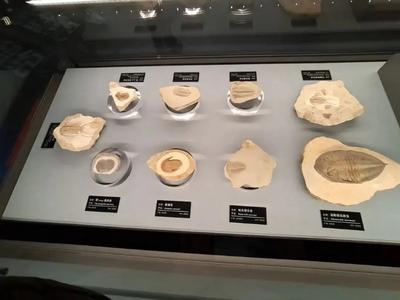 冬日打卡抚仙湖，这些景点不容错过！