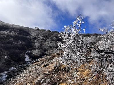 冬天里的童话世界∣白马雪山