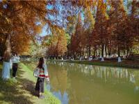 图集 | 采莲河 城市里的美景