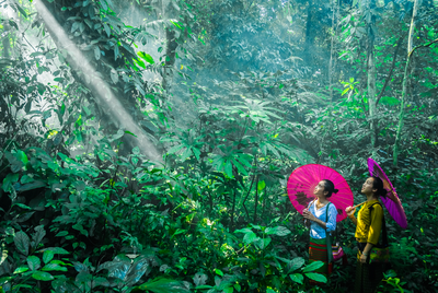研学游 | 登上这艘植物“诺亚方舟” 寻遍雨林中的宝藏