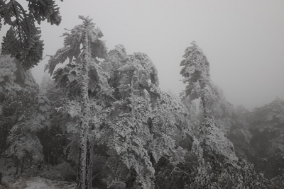 终于等到你！轿子山迎来今冬初雪