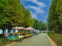 图集 | 海洪湿地公园打卡红杉林