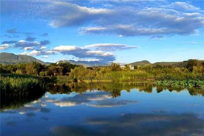 众里寻他千百度：凤凰栖身开远生态公园处