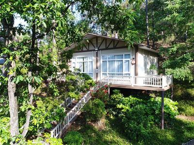 宿在红河｜在石屏山林间，入住“氧吧”中的童话小屋！