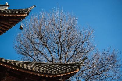 【点赞】好山好水好风光！云南这几个绝美村落不容错过