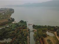 图集 | 海洪湿地公园打卡红杉林